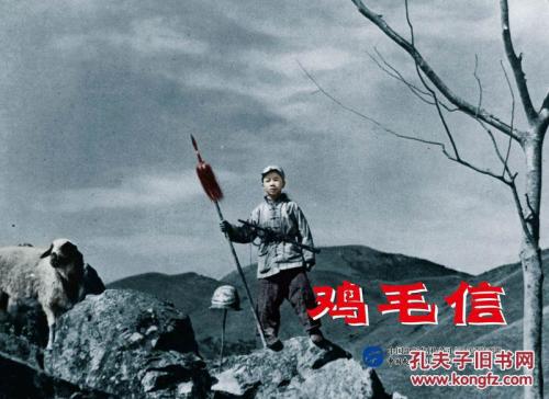 科隆大学 Environmental Science Degree Certificate